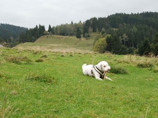 2009-10-03_ntb_9701