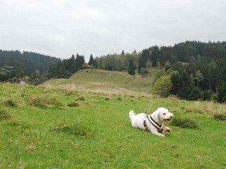 2009-10-03_ntb_9702