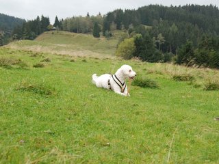 2009-10-03_ntb_9703