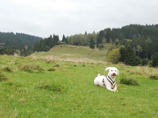 2009-10-03_ntb_9704