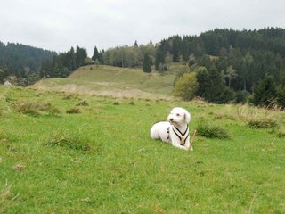 2009-10-03_ntb_9705