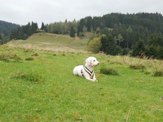 2009-10-03_ntb_9706