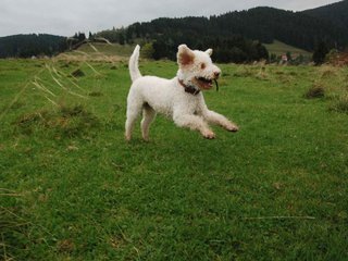 2009-10-03_ntb_9708