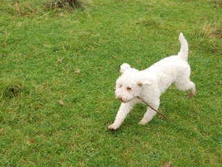 2009-10-03_ntb_9711