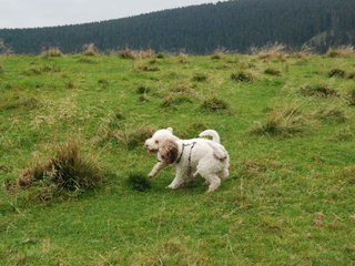 2009-10-03_ntb_9713