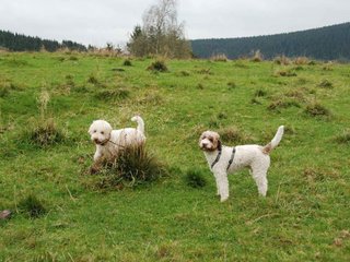 2009-10-03_ntb_9714