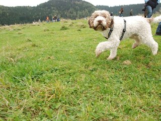 2009-10-03_ntb_9715