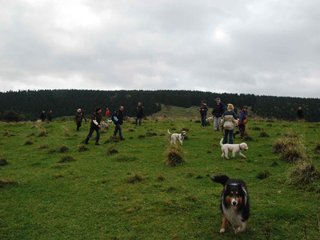 2009-10-03_ntb_9716