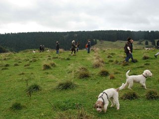 2009-10-03_ntb_9717