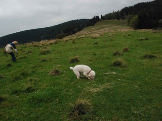 2009-10-03_ntb_9720