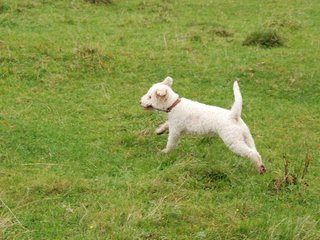 2009-10-03_ntb_9721