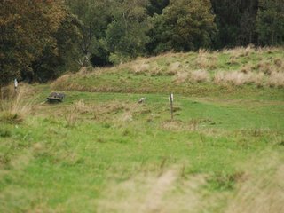 2009-10-03_ntb_9723