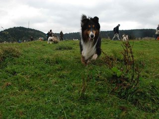 2009-10-03_ntb_9725
