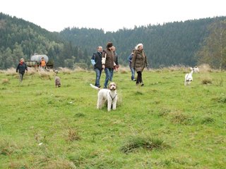 2009-10-03_ntb_9726