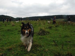 2009-10-03_ntb_9728