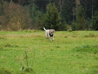 2009-10-03_ntb_9729