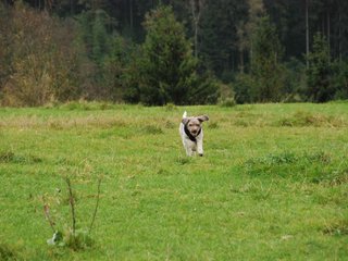 2009-10-03_ntb_9730