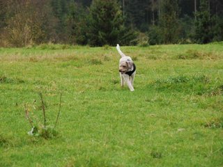 2009-10-03_ntb_9731