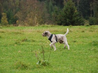 2009-10-03_ntb_9732