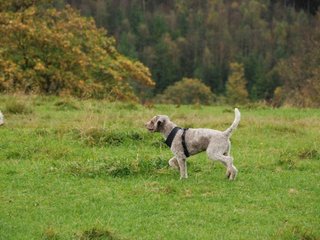 2009-10-03_ntb_9733