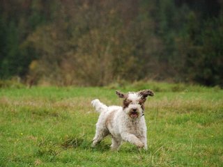 2009-10-03_ntb_9734