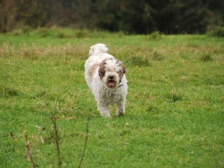 2009-10-03_ntb_9735