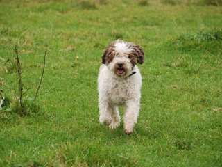 2009-10-03_ntb_9737