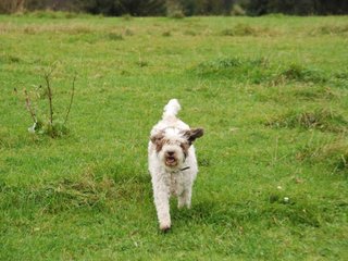 2009-10-03_ntb_9738