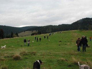 2009-10-03_ntb_9741