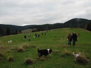 2009-10-03_ntb_9742