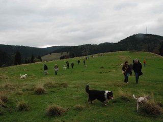 2009-10-03_ntb_9743