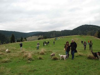 2009-10-03_ntb_9744