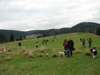 2009-10-03_ntb_9745