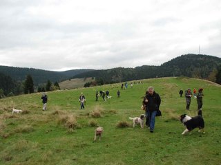 2009-10-03_ntb_9746