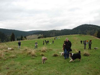 2009-10-03_ntb_9747