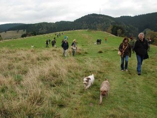 2009-10-03_ntb_9748