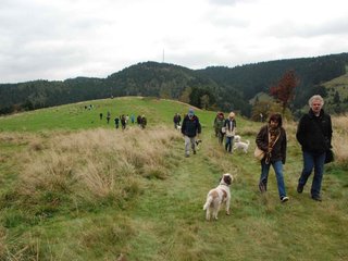 2009-10-03_ntb_9749