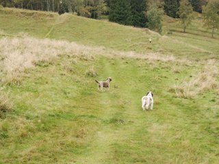 2009-10-03_ntb_9751