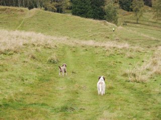 2009-10-03_ntb_9752