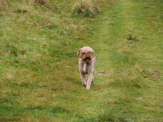 2009-10-03_ntb_9754
