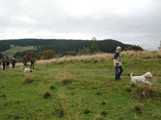 2009-10-03_ntb_9755