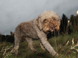 2009-10-03_ntb_9757
