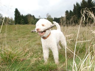 2009-10-03_ntb_9759