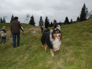 2009-10-03_ntb_9761