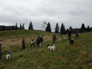 2009-10-03_ntb_9762