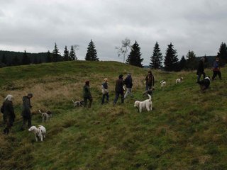 2009-10-03_ntb_9763