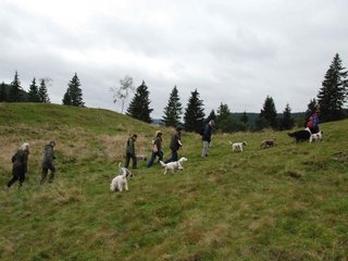 2009-10-03_ntb_9764