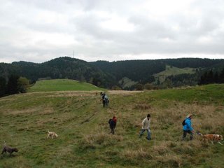 2009-10-03_ntb_9768