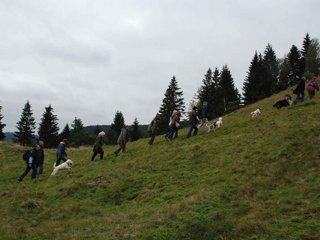 2009-10-03_ntb_9769