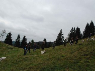 2009-10-03_ntb_9770